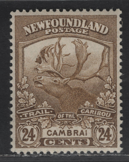 Lot 108 (C) Newfoundland #125 24c Bistre Brown Cambrai, 1919 Trail of the Caribou Issue, A VFOG Single, Paper WM-F, Line Perf 14