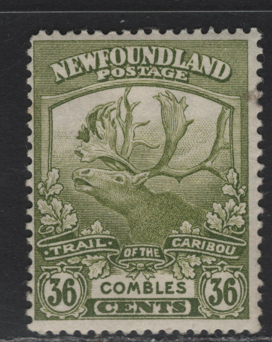 Lot 109 (C) Newfoundland #126 36c Olive Green Combles, 1919 Trail of the Caribou Issue, A FOG Single, Paper WM-F, Line Perf 14