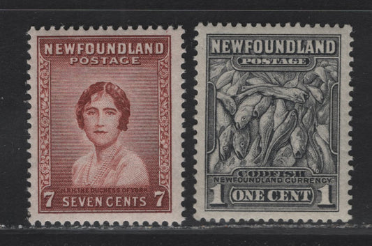 Lot 148 (C) Newfoundland #184, 208 1c - 7c Gray Black - Red Brown Codfish - Duchess of York, 1932-1937 Definitive Issue, 2 VFNH Singles
