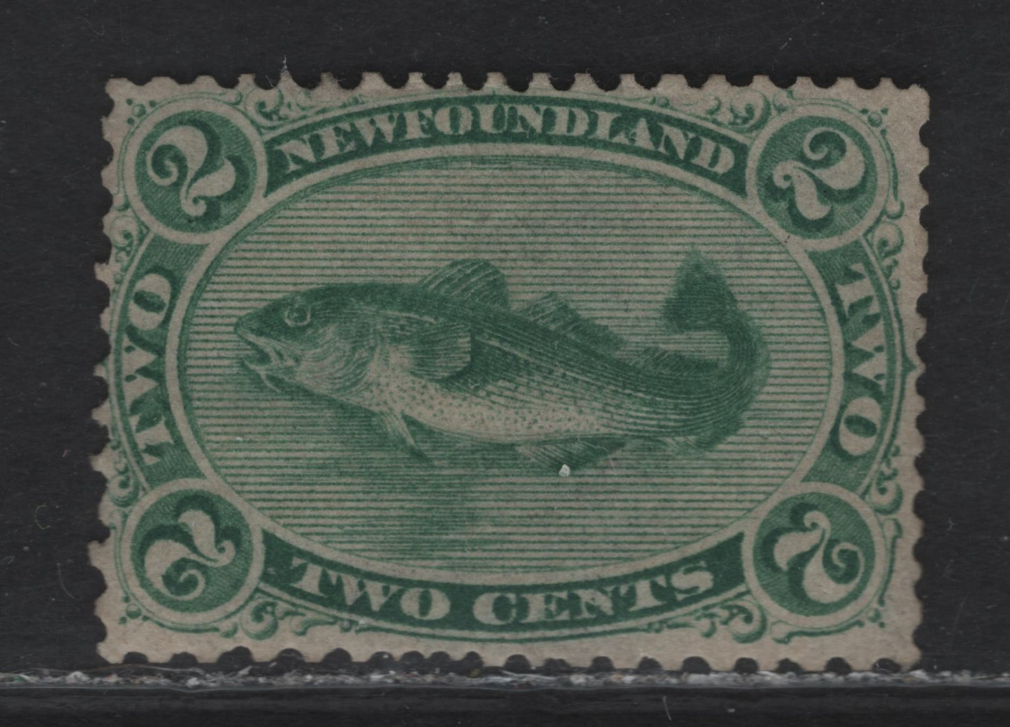 Lot 3 (C) Newfoundland #24a 2c Green Codfish, 1865-1894 Cents Issue, A VGOG Single, Paper Cents-V, Left Perfs & Right Half of Bottom Margin Appear To Have Been Reperfed, What Appears To Be Original Gum.