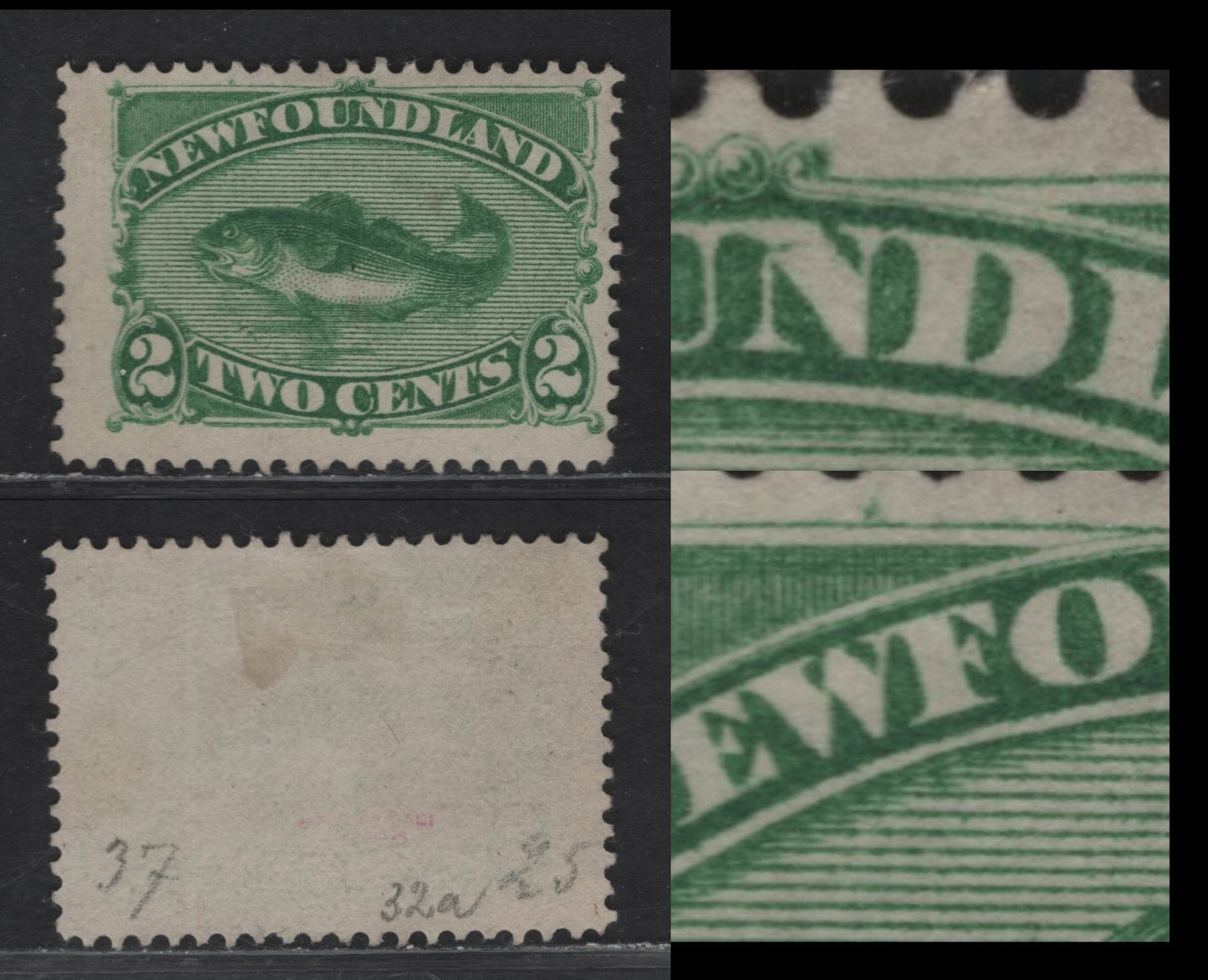 Lot 33 (C) Newfoundland #46i 2c Deep Yellow Green Codfish, 1880-1896 4th Cents Issue, A Fine Unused Single, Paper Cents-DD, Late 1880's Printing, Perf 12.1, Showing Unlisted Burr In Upper Margin Above W & Dash Inside 2nd N of (C) Newfoundland.