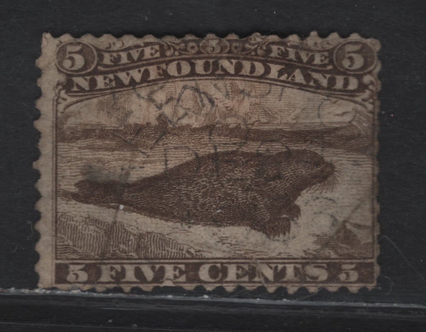 Lot 4 (C) Newfoundland #25 5c Brown Harp Seal, 1865-1894 Cents Issue, A Fair Used Single, Paper Cents-V, Perf 12, Several Creases, Tear Between En of Cents & Perfs At Right Are Also Trimmed.