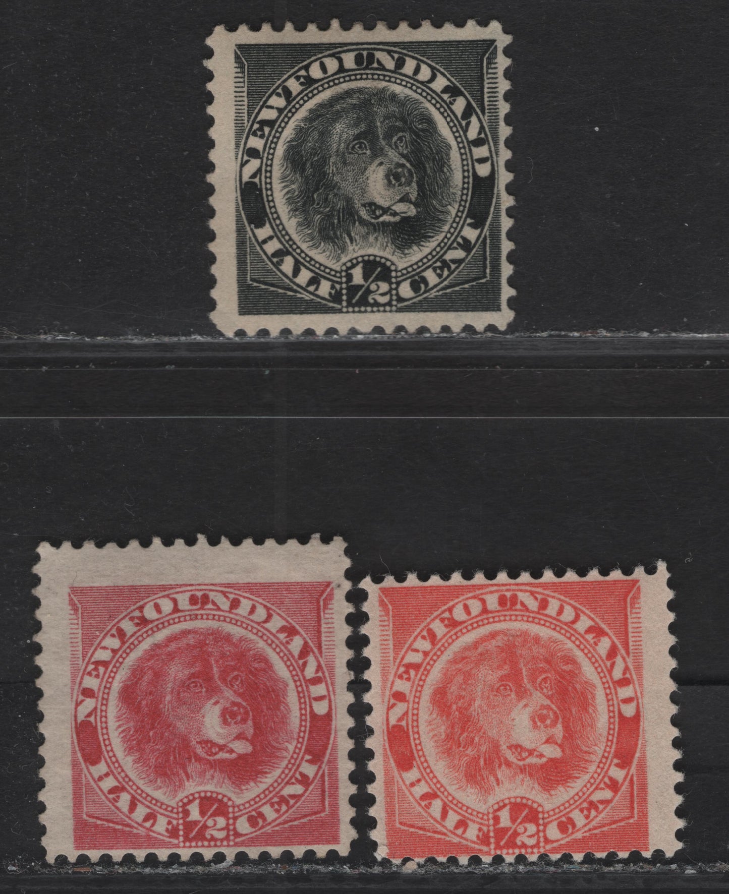 Lot 44 (C) Newfoundland #56-58 1/2c Rose Red - Black (C) Newfoundland Dog, 1887-1898 5th Cents Issue, 3 VG/FOG & Unused Singles, Papers Cents-OO (Rose Red), Cents-PP (Orange Red & Black), All Perf 12, Small Thin on Black.