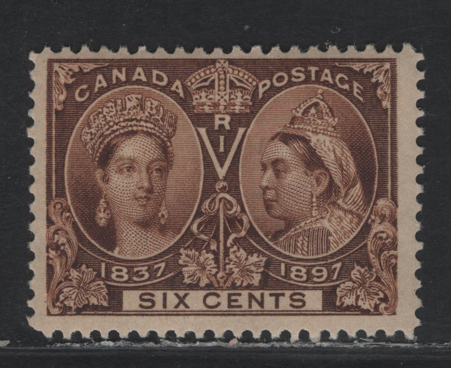 Lot 78 (C) Canada #55 6c Deep Yellow Brown Queen Victoria, 1897 Diamond Jubilee Issue, A FNH Single, Paper ABN-W, Perf 11.9, Gum Is NH, But There is A Natural Fibre That Got Stuck In The Gum During Gumming.