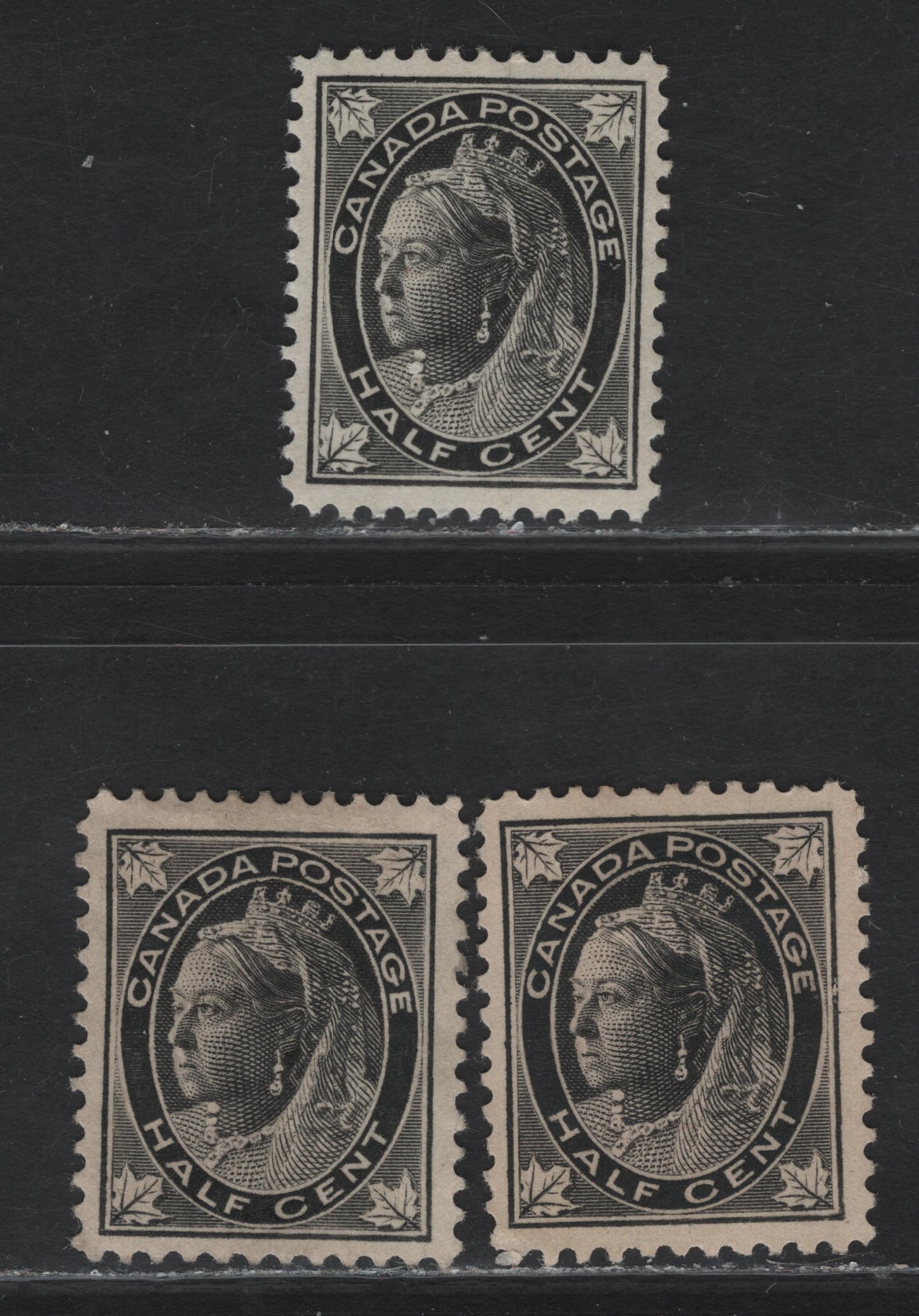 Lot 96 Canada #66 1/2c Gray Black - Black Queen Victoria, 1897-1898 Maple Leaf Issue, 3 Very Fine Unused Singles, Papers ABN-X & ABN-A, Perfs 11.9x11.8, 12x11.9 & 12, Design Sizes 17x21mm, 16.8x21 & 12.8x20.8mm.