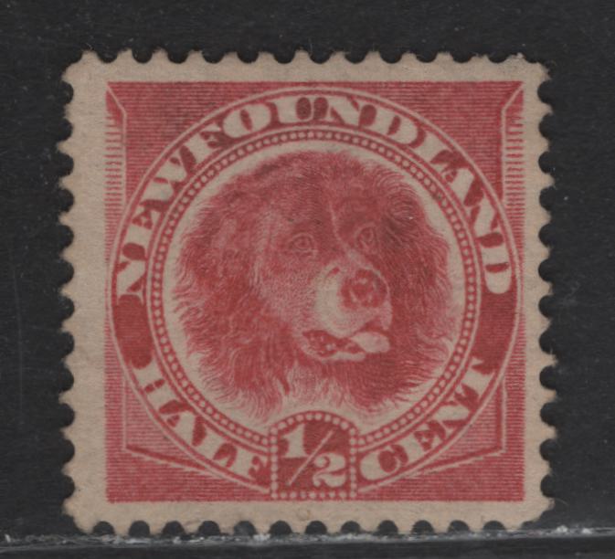 Lot 120 Canada #56 1/2c Rose Red Newfoundland Dog, 1887-1898 5th Cents Issue, A FOG Single, Paper Cents-II, Perf 12