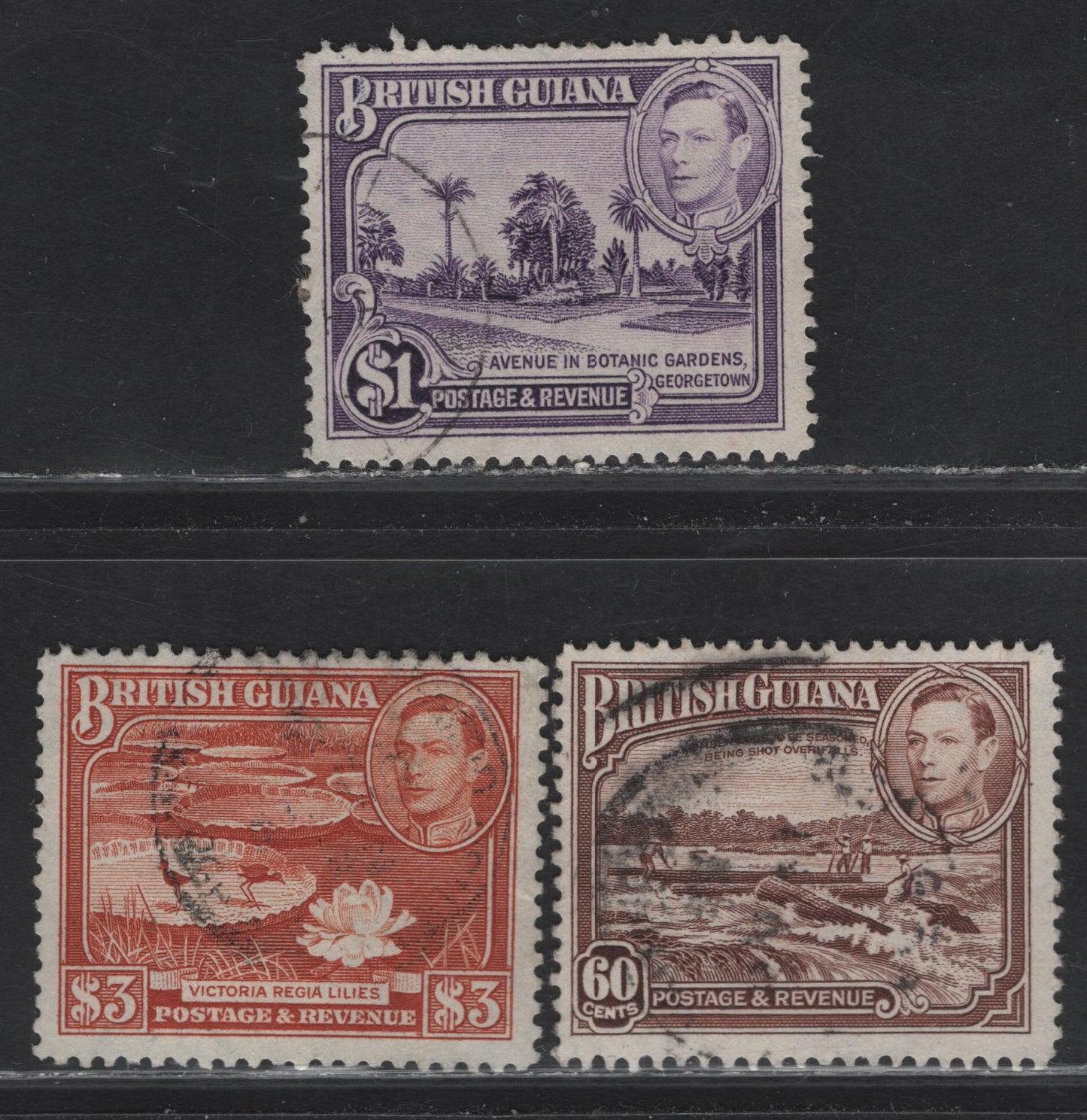Lot 208 British Guiana (C) SG#315, 317, 319a 60c - $3 Red Brown - Bright Red Brown King George VI, 1938-1952 KGVI Pictorial Issue, 3 Fine Used Singles, Perf 12.5