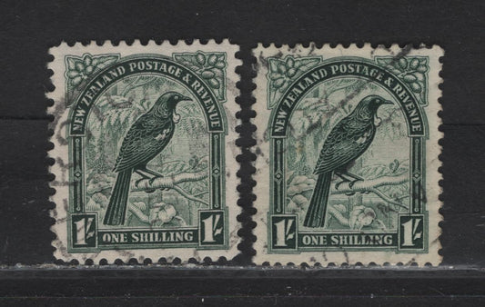 Lot 325 New Zealand (C) SG#588, 588b 1/- Deep Green Parson Bird, 1936-1947 Pictorial Issue, 2 Very Fine Used Singles, Perf 14x13.5 & 12.5, Multiple Star & NZ Wmk