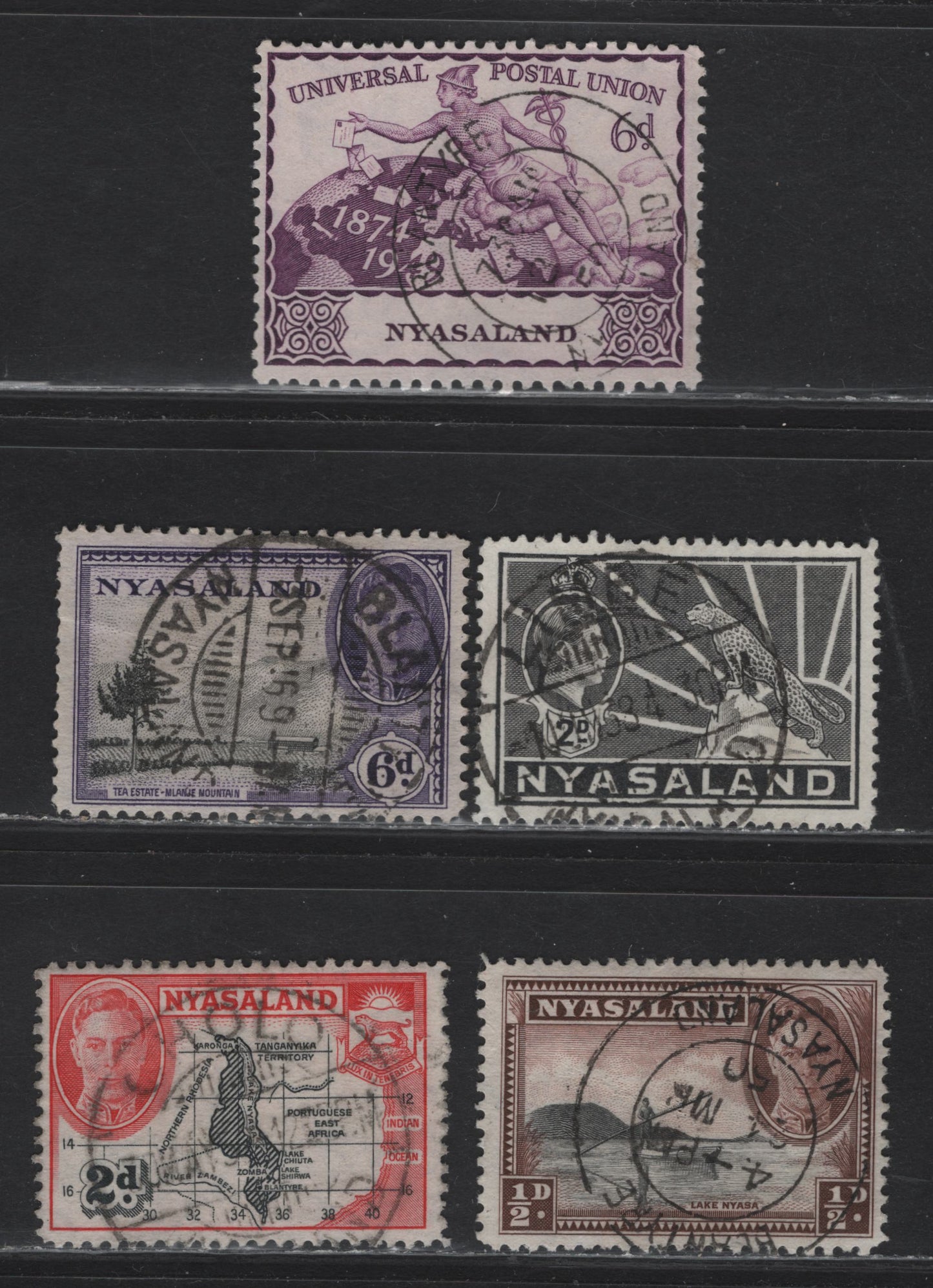 Lot 132 Nyasaland (C) SG#133, 144, 147, 150, 165 2d - 6d Gray - Purple King George VI - UPU, 1938-1949 Synbol of the Protectorate - UPU Issues, 5 Very Good/Fine/Very Fine Used Singles, SON Limbe, Cholo & Blantyre CDS Cancels