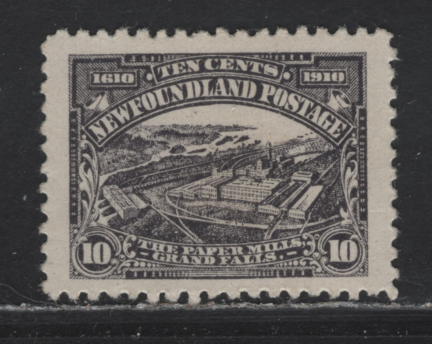 Lot 118 Newfoundland #95 10c Violet Black, 1910 Guy Issue, A VFOG Single On WM-A Paper, Perf 11.75