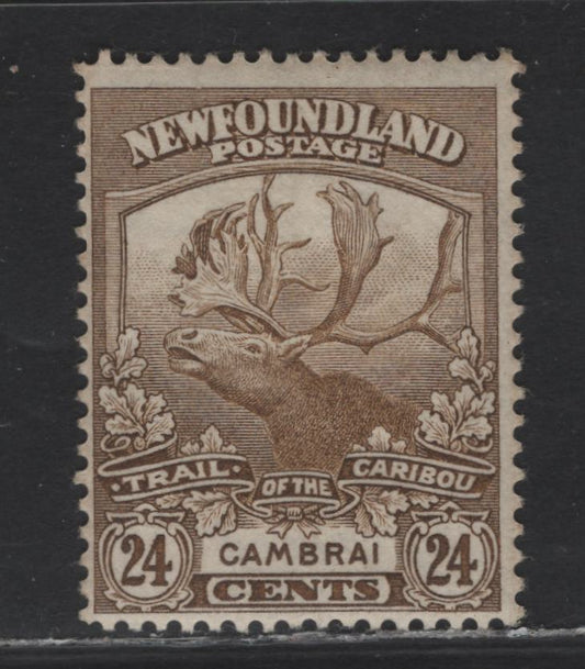 Lot 142 Newfoundland #125 24c Bistre, 1919-1923 Trail Of The Caribou Issue, A FOG Single On Paper WM-F, Comb Perf 14.25x14