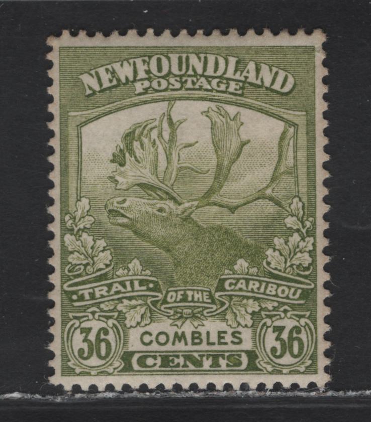Lot 143 Newfoundland #126 36c Olive Green, 1919-1923 Trail Of The Caribou Issue, A VFOG Single On Paper WM-F, Comb Perf 14.25x14