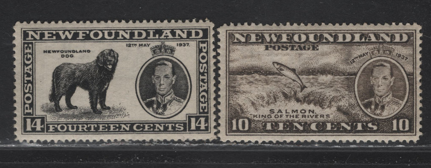Lot 206 Newfoundland #237-238 10c-14c Agate & Black Salmon Leaping Falls - Newfoundland Dog, 1937 Long Coronation Issue, 2 VFNH Singles Line Perf. 14.25