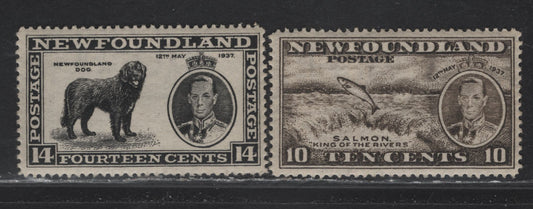 Lot 206 Newfoundland #237-238 10c-14c Agate & Black Salmon Leaping Falls - Newfoundland Dog, 1937 Long Coronation Issue, 2 VFNH Singles Line Perf. 14.25