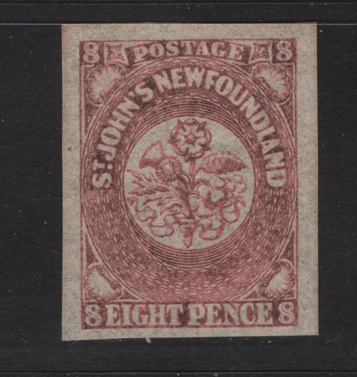 Lot 39 Newfoundland #22 8d Rose, 1861-1862 Pence Issue, A VFOG Single On Crisp Translucent Wove Paper