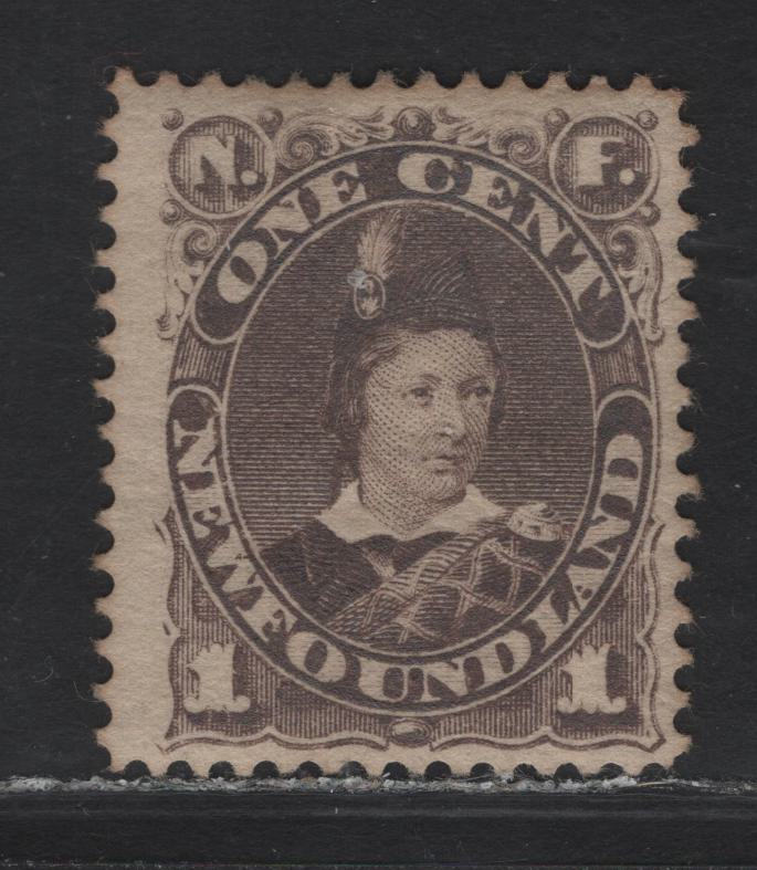 Lot 73 Newfoundland #43 1c Brown, 1880-1896 Third Cents Issue, A FOG Single On Paper Cents-LL, Perf 12.1x12