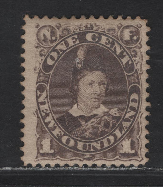 Lot 73 Newfoundland #43 1c Brown, 1880-1896 Third Cents Issue, A FOG Single On Paper Cents-LL, Perf 12.1x12
