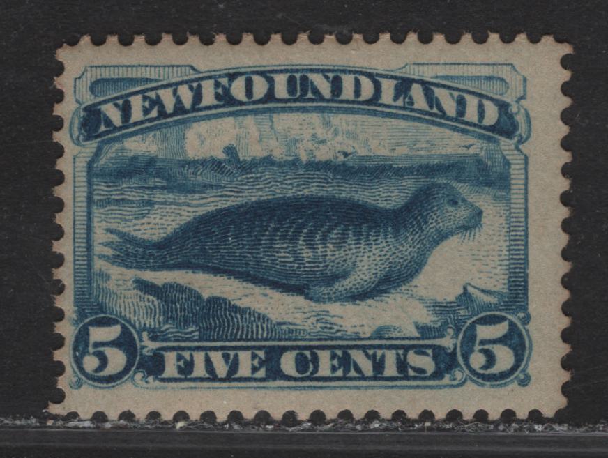 Lot 86 Newfoundland #55 5c Bright Blue, 1880-1896 Third Cents Issue, A FNH Single On Cents-XX, Perf 12
