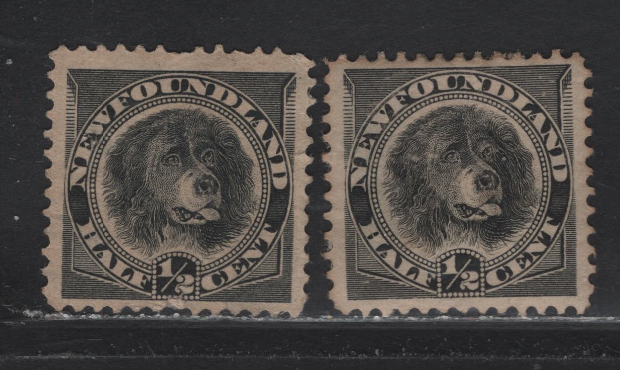 Lot 89 Newfoundland #58i 1/2c Grey Black, 1887-1897 Queen Victoria Definitive Issue, 2 VFOG Singles On Paper Cents-BB And Cents-QQ, Perf 12.1