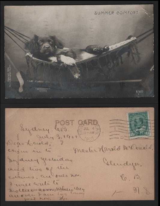 Lot 236 Canada #89i 1c Deep Green King Edward VII, 1903-1911 King Edward VII Issue, A Fine Picture Postcard Rotograph Series Depicting A Small Dog & Summer Comfort