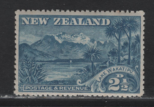 Lot 216 New Zealand (C) SG#250 2.5d Blue , 1898 Waterlow Pictorial Issue, A VFOG Single, Inscribed Wakatipu