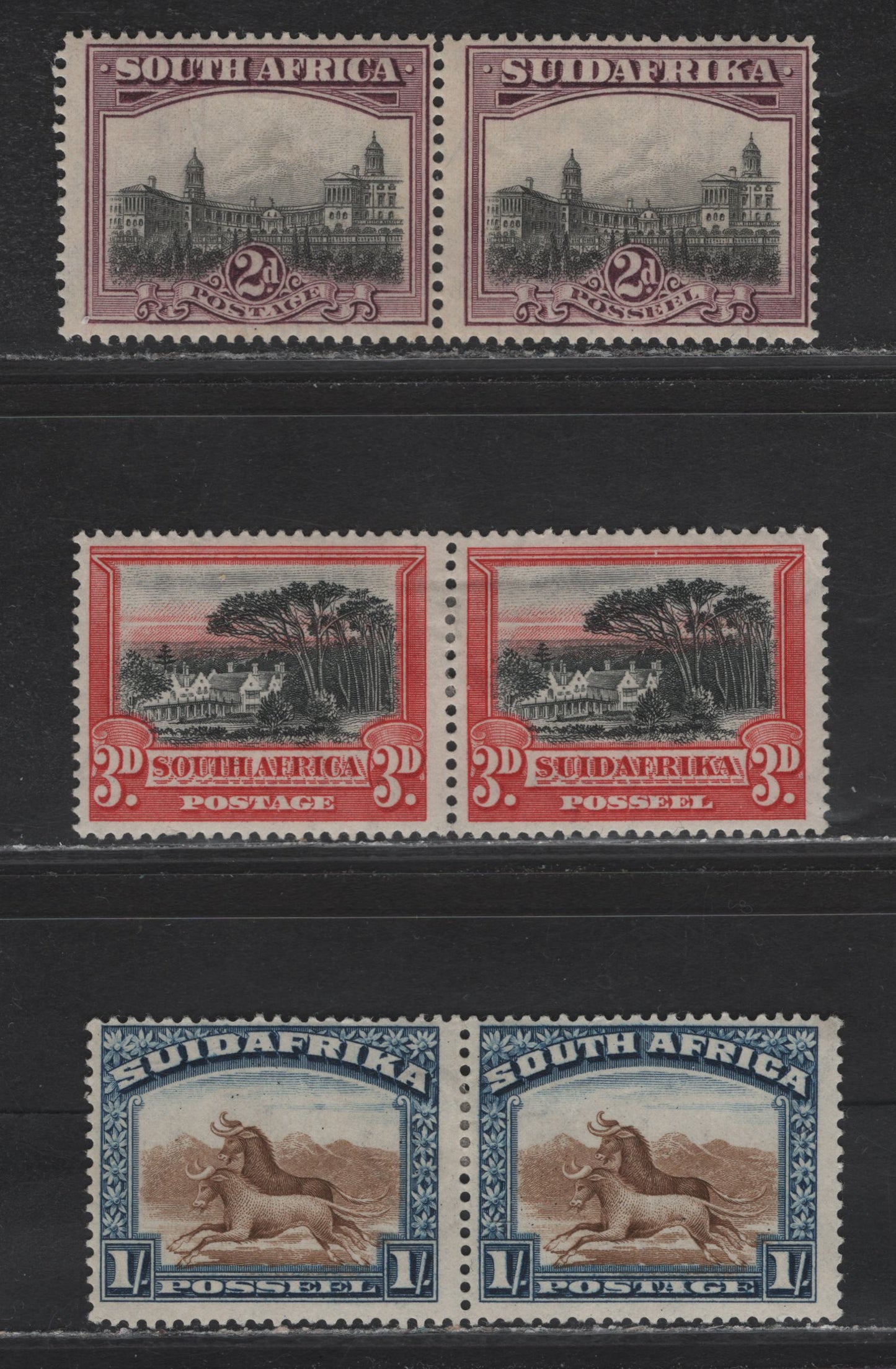 Lot 229 South Africa (C)  SG#34-36 2d - 1/- Gray & Maroon - Brown & Deep Blue , 1927-1930 Engraved Pictorial Issue, 3 FOG Pairs, Perf 14