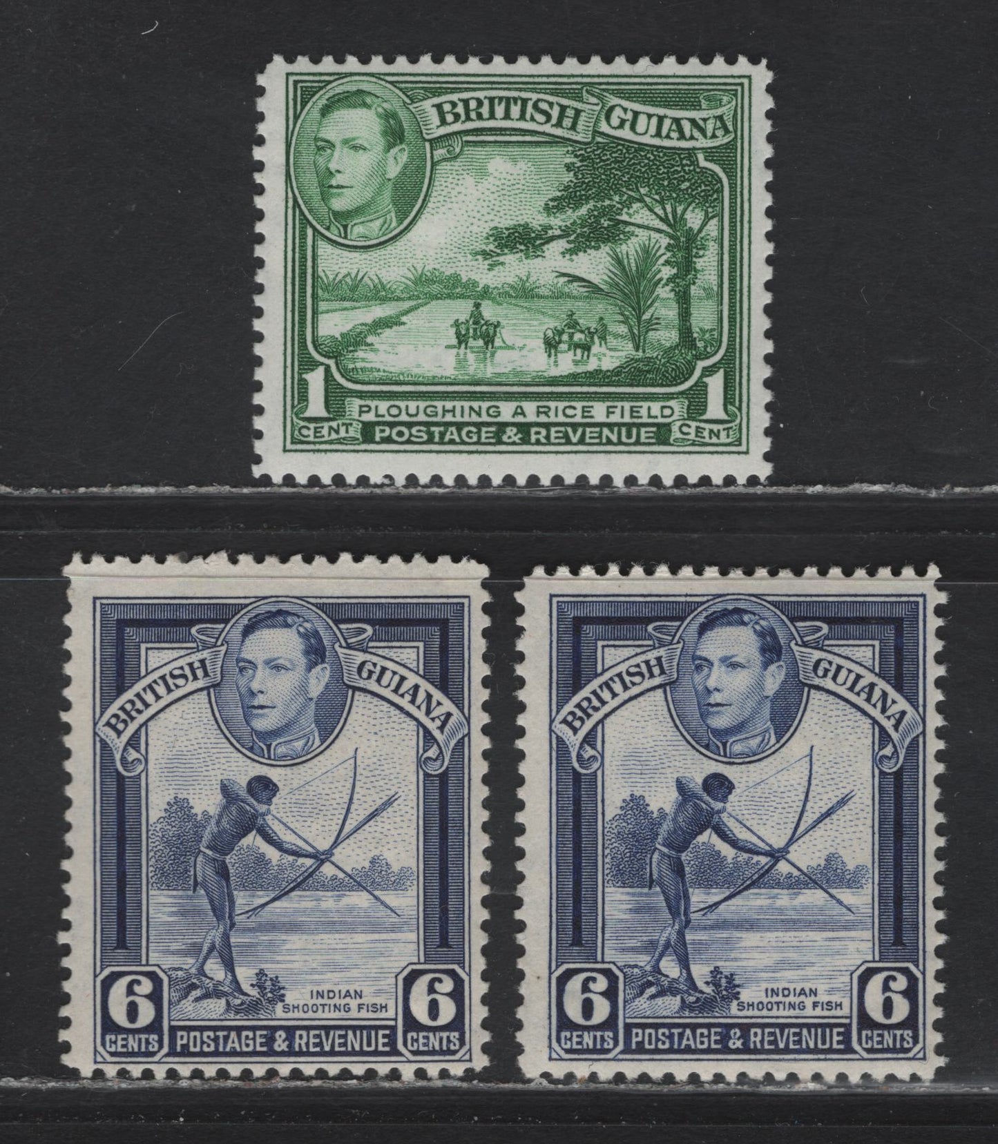 Lot 298 British Guiana SG#308a, 311 1c - 6c Blue Green - Deep Ultramarine , 1938-1952 KGVI Pictorial Issue, 3 FOG Singles, 1948-1950 Printings On Cream Paper, Less Visible Wmk & Crackly Gum, White Paper With Less Visible Wmk & Smooth Gum.