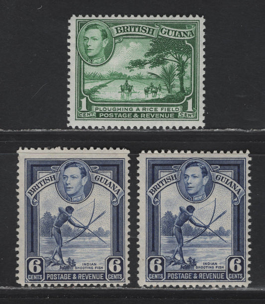 Lot 298 British Guiana SG#308a, 311 1c - 6c Blue Green - Deep Ultramarine , 1938-1952 KGVI Pictorial Issue, 3 FOG Singles, 1948-1950 Printings On Cream Paper, Less Visible Wmk & Crackly Gum, White Paper With Less Visible Wmk & Smooth Gum.