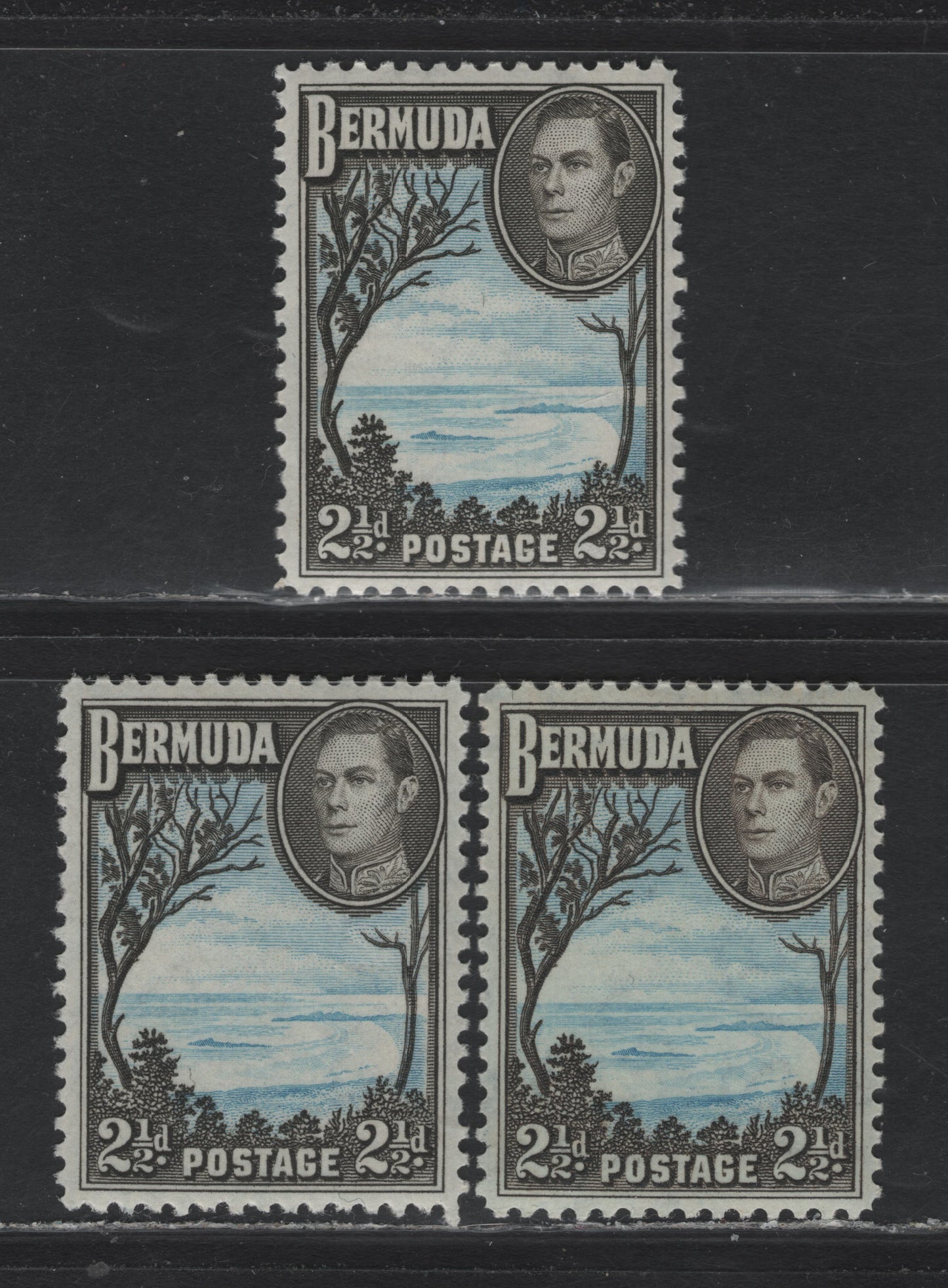 Lot 241 Bermuda SG#113, 113b 2.5d Olive Black & Light Blue - Pale Bright Blue & Deep Olive Sepia , 1936-1952 KGVI Pictorial Issue, 3 VFNH Singles, 1941-42, 1943 & 1945-46 Line Perf Printings, Various Papers & Gum
