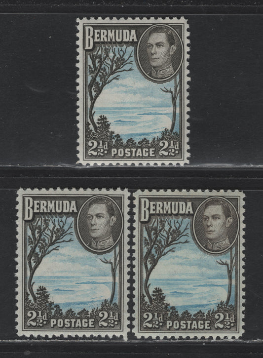 Lot 241 Bermuda SG#113, 113b 2.5d Olive Black & Light Blue - Pale Bright Blue & Deep Olive Sepia , 1936-1952 KGVI Pictorial Issue, 3 VFNH Singles, 1941-42, 1943 & 1945-46 Line Perf Printings, Various Papers & Gum