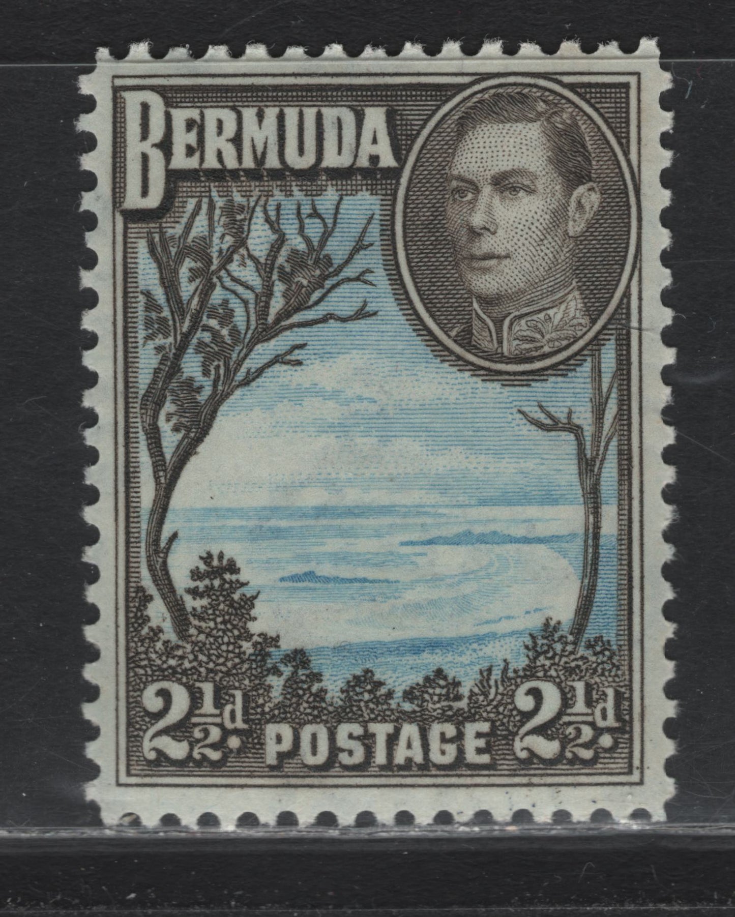 Lot 245 Bermuda SG#113c 2.5d Light, Bright Blue & Olive Brown , 1936-1952 KGVI Pictorial Issue, A VFNH Single, 1950-1951 Comb Perf Printing, Translucent Wove Paper With Clear Wmk, Some Gum Toning.