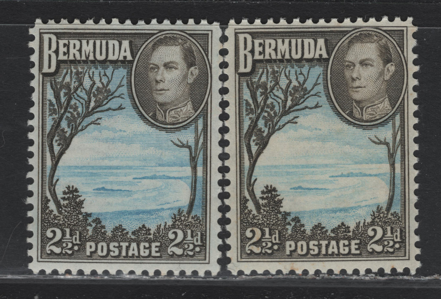 Lot 246 Bermuda SG#113c 2.5d Light, Bright Blue & Deep Olive Brown - Light Blue & Deep Olive Brown , 1936-1952 KGVI Pictorial Issue, 2 VFOG Singles, 1950-51 Comb Perf Printings, Translucent Paper With Barely Visible/Visible Wmks