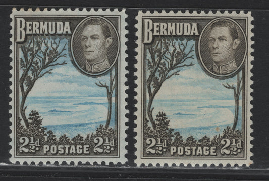 Lot 248 Bermuda SG#113c 2.5d Light, Bright Blue & Deep Olive Sepia - Light Bright Blue & Deep Olive Brown , 1936-1952 KGVI Pictorial Issue, 2 VFNH Singles, 1952 Comb Perf Printing, Cross-hatched Mesh Paper With Barely Visible Wmk