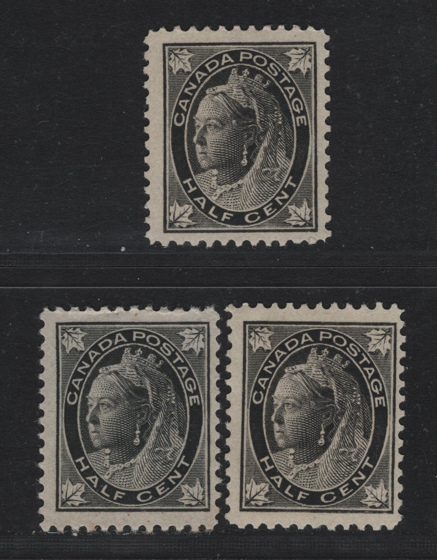 Lot 73 Canada #66 1/2c Black Queen Victoria, 1897-1898 Maple Leaf Issue, 3 Fine Used Singles, ABN-A & ABN-X Papers, Perfs 11.9, 11.9x12 & 12