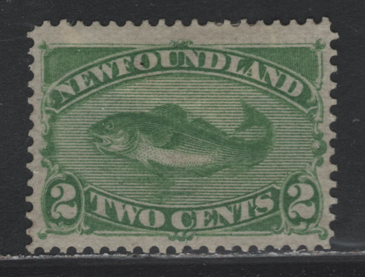 Lot 210 (C) Newfoundland #46 2c Yellow Green, 1880-1896 4th Cents Issue, A VFOG Single, 1882 Printing, Stout Horizontal Wove Paper, Unchecked As To Specific Type & Perf, Large Part OG.