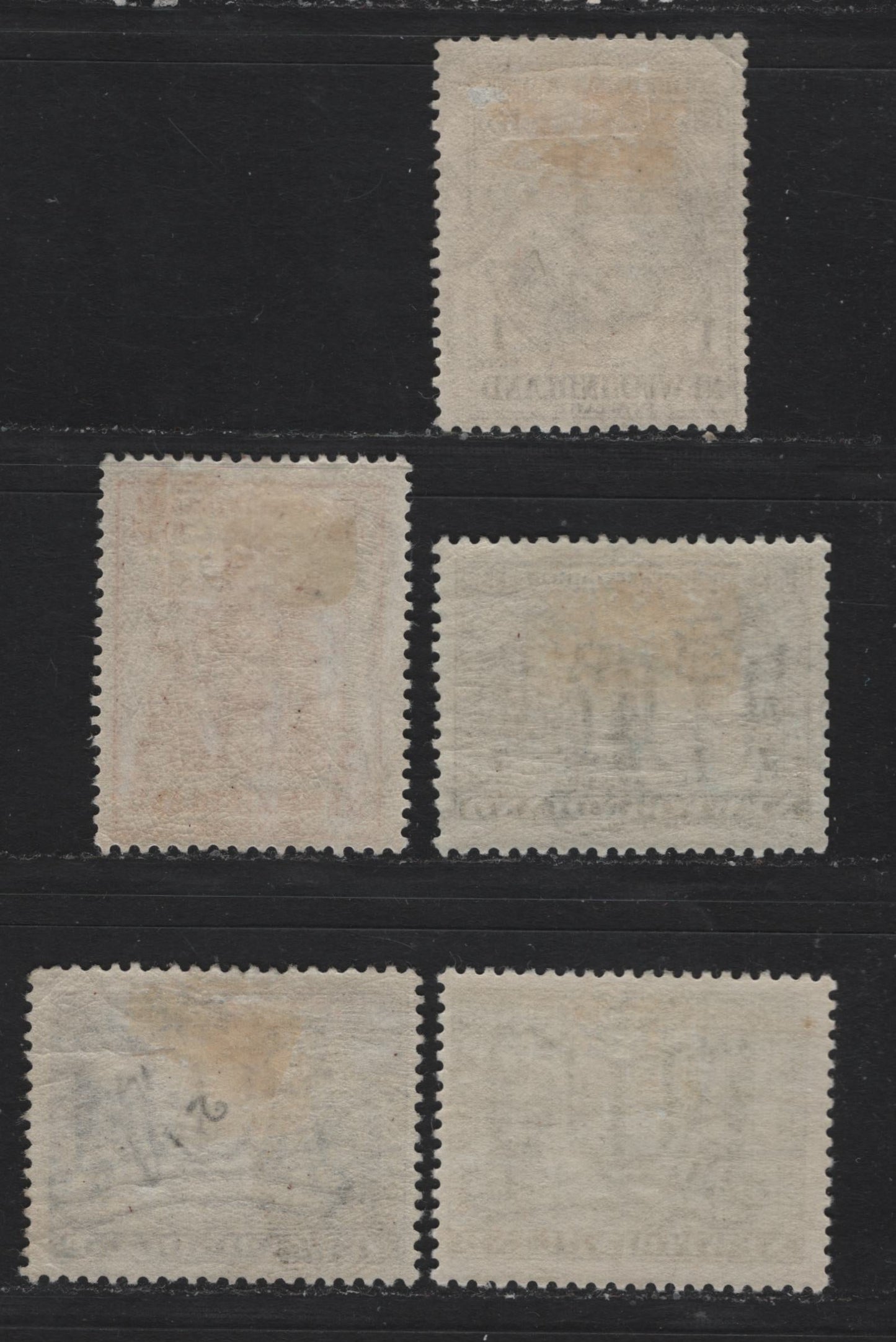 Lot 260 Newfoundland (C) #212, 214, 217, 219, 223 1c - 20c Gray Black - Bronze Green, 1933 Sir Humphrey Gilbert Issue, 5 FOG Singles
