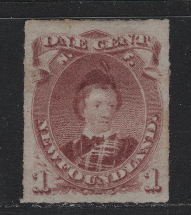 Lot 12 Newfoundland #37 1c Brown Lilac , 1876-1879 3rd Cents Issue, A VFOG Single, Cents-II Paper, Rouletted