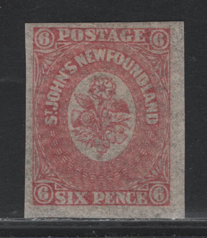 Lot 176 Newfoundland #20 6d Pale Rose, 1861-1862 Pence Issue, A VFOG Single, Crisp Wove Paper, November 1861 Printing