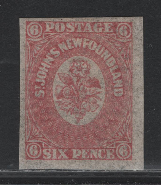 Lot 176 Newfoundland #20 6d Pale Rose, 1861-1862 Pence Issue, A VFOG Single, Crisp Wove Paper, November 1861 Printing