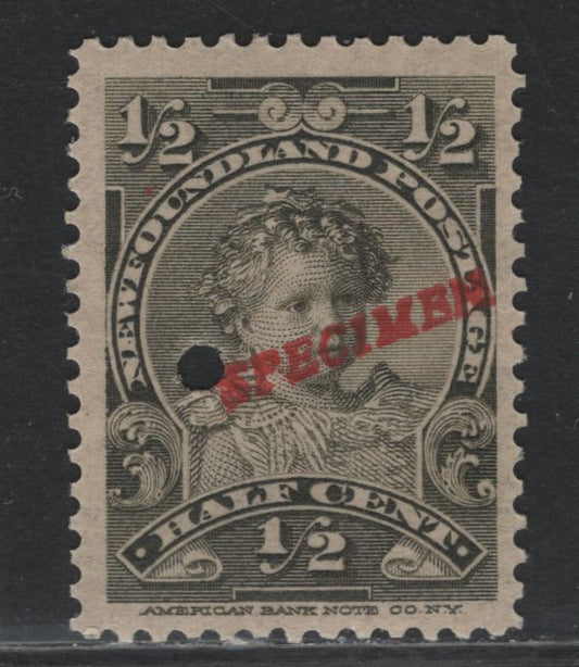 Lot 177 Newfoundland (C) #78s 1/2c Olive Green, 1897-1901 Royal Family Issue, A FNH Single, Specimen Overprint, Security Punch Hole, ABNN-T Paper.