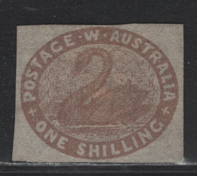 Lot 352 Australia - Western Australia SG#4c 1/- Pale Brown , 1854-1855 Swan Issue, A Very Fine Unused Single, Swan Wmk Sideways