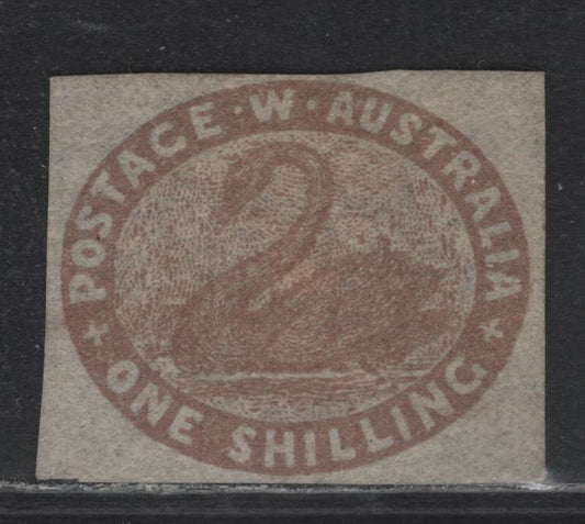 Lot 352 Australia - Western Australia SG#4c 1/- Pale Brown , 1854-1855 Swan Issue, A Very Fine Unused Single, Swan Wmk Sideways