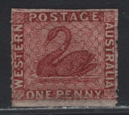 Lot 354 Australia - Western Australia SG#50 1d Lake , 1863-1864 Perkins Bacon Swans Issue, A Fine Unused Single, Unwatermarked, Perf 13, Paper Around Perfs Has Been Trimmed, Leaving All of the Perfs Intact.