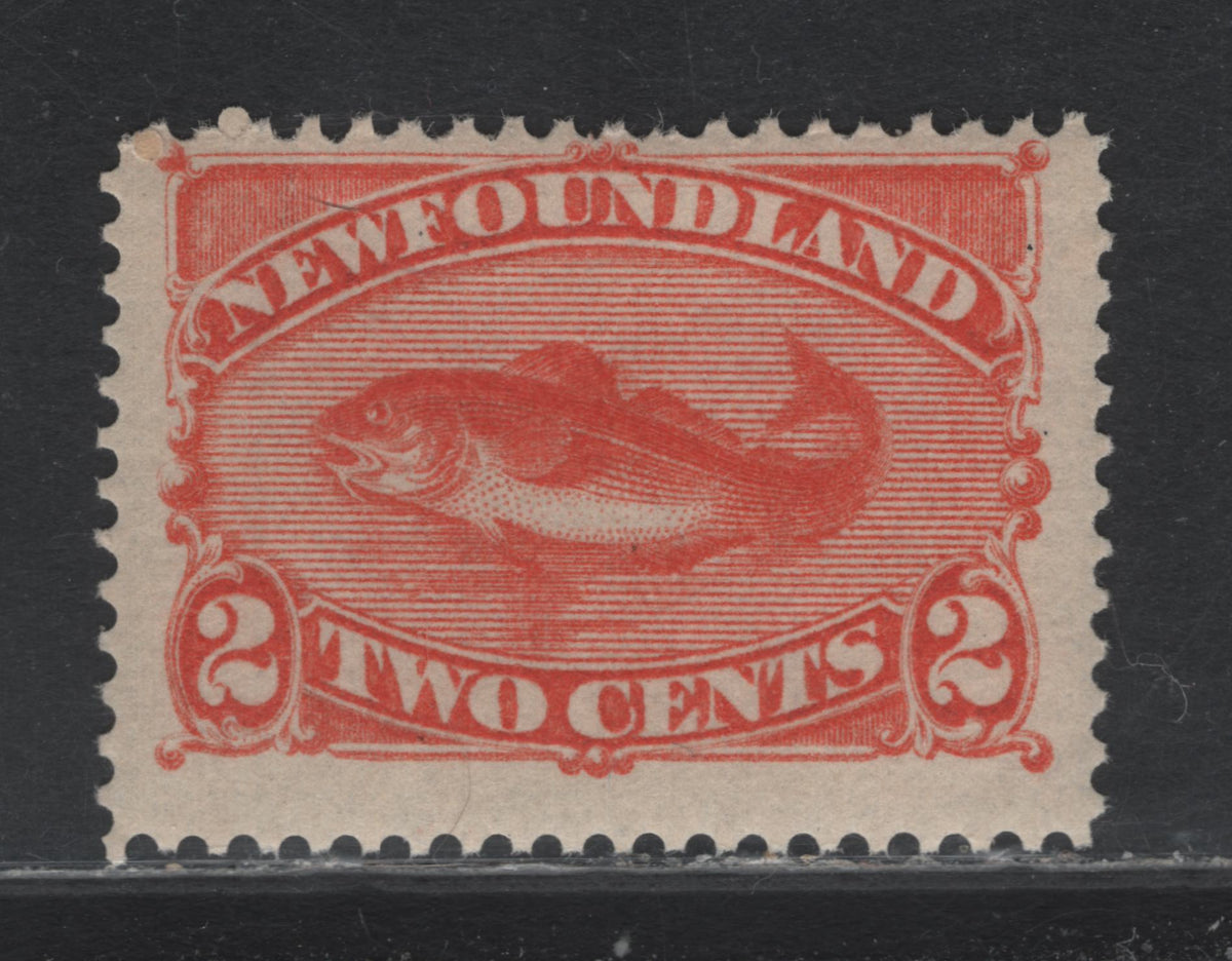 Lot 349 Newfoundland #48b 2c Orange , 1880-1896 4th Cents Issue, A FOG Single, Cents-NN Paper