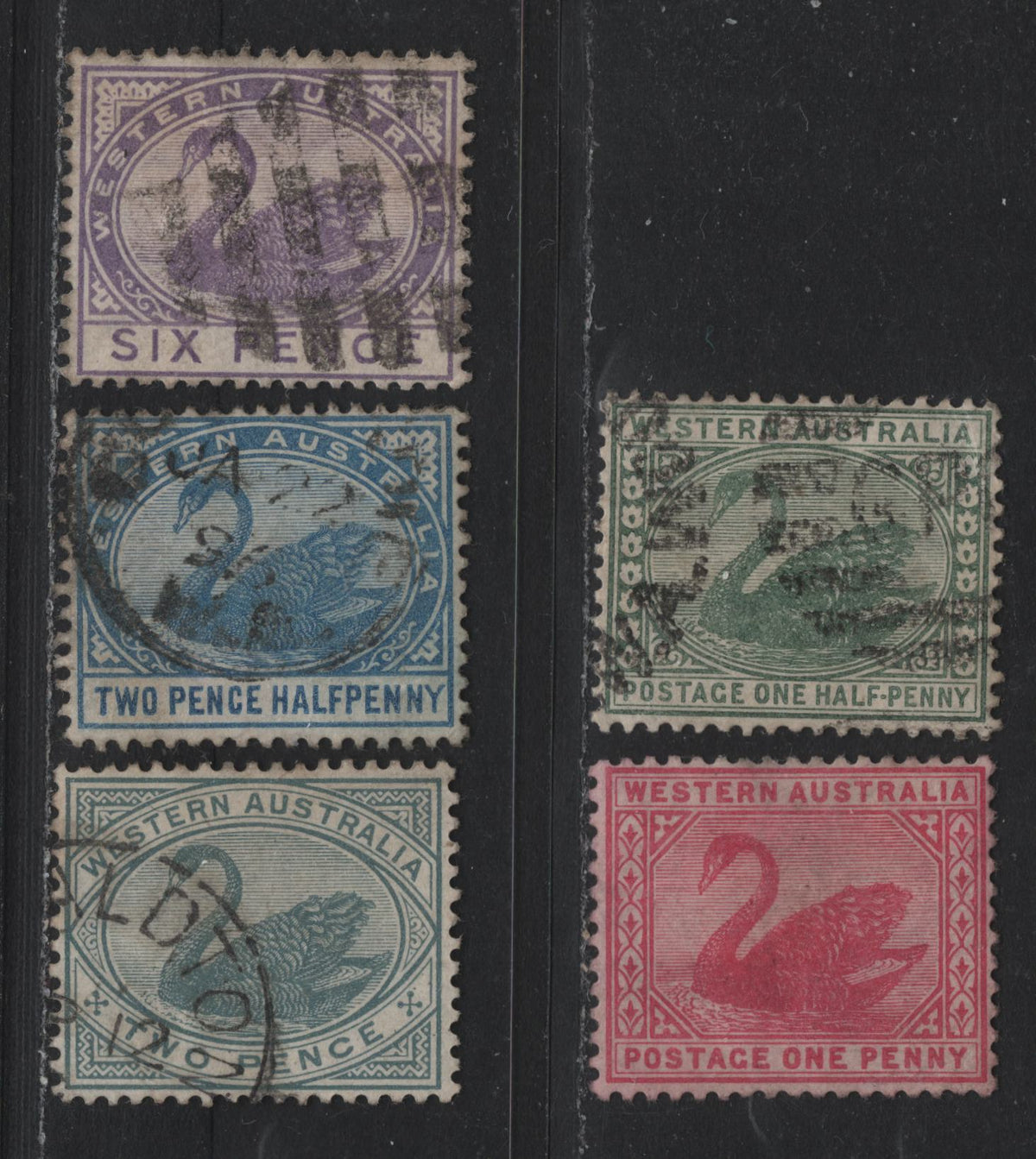 Lot 253 Western Australia SG#94a, 95-97, 100 (SC# 58, 62-64, 67) 1/2d - 6d Green - Violet, 1882-1885 Surface Printed Swans Issue, 5 Fine/Very Fine Used Singles