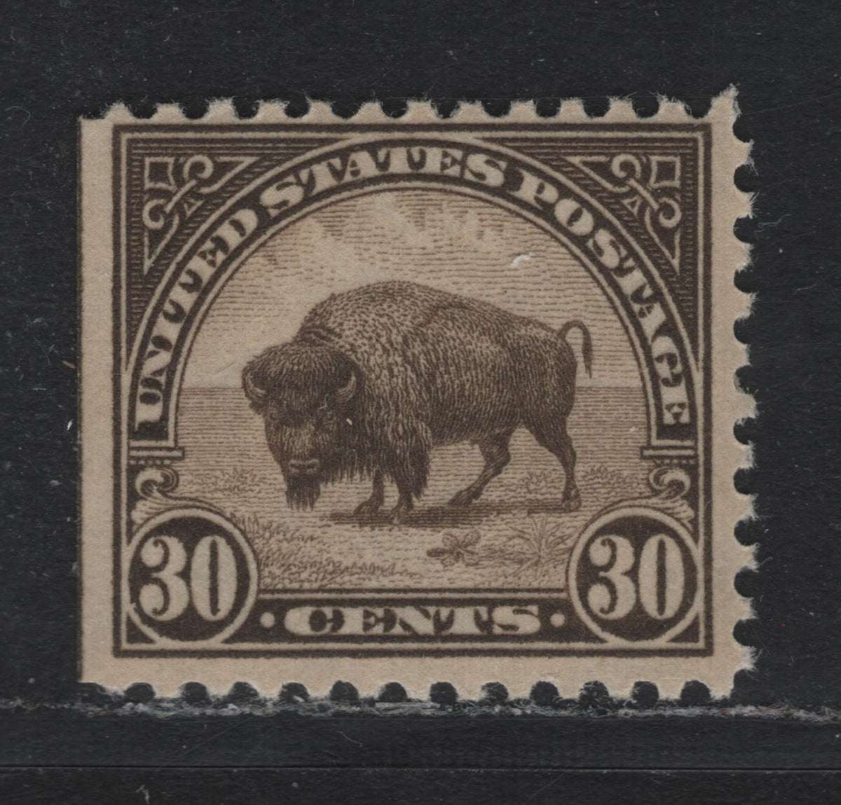Lot 38 United States SC#569 30c Deep Olive Brown , 1922-1926 4th Bureau Issue, A VFNH Single