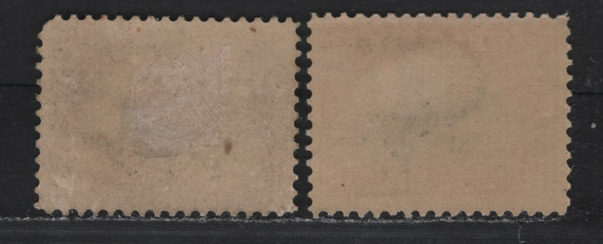 Lot 149 United States SC#299 10c Orange Brown/Light Orange Brown & Black/Silver Black , 1901 Pan-American Exposition Issue, 2 FOG Singles, Reversed Wmks