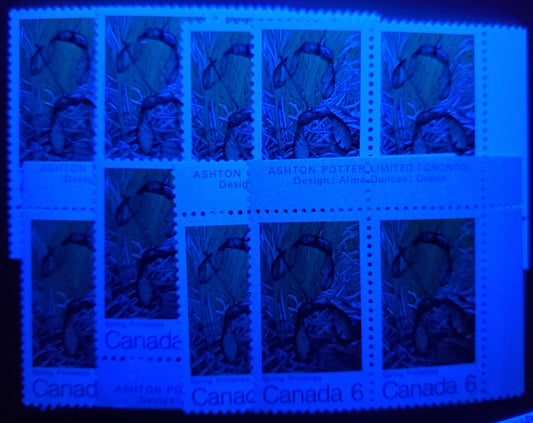 Canada #535 6c Multicolored Spring, 1971 Maple Leaves, 8 VFNH Inscription Pairs On Different HB/HF, HB/HB, HF/HF & MF/HB Horizontal Ribbed Papers