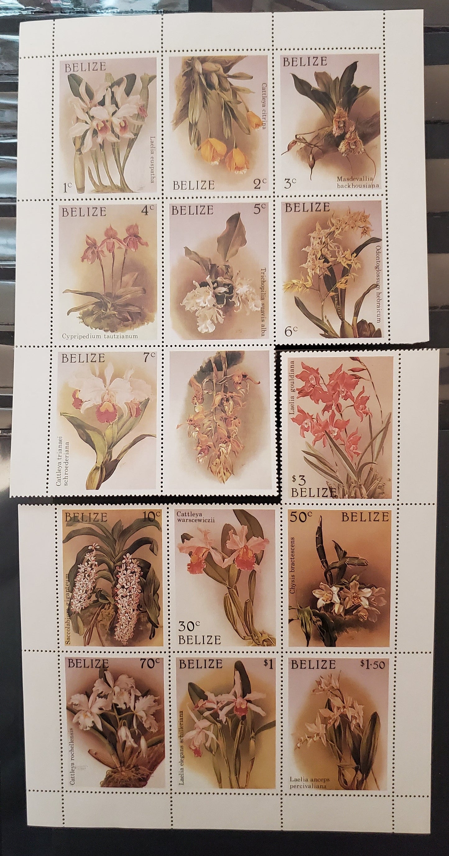 Lot  1 Belize SC#882-895 1987 Orchids Issue, 14 VFNH Singles , Click on Listing to See ALL Pictures, 2017 Scott Cat. $20