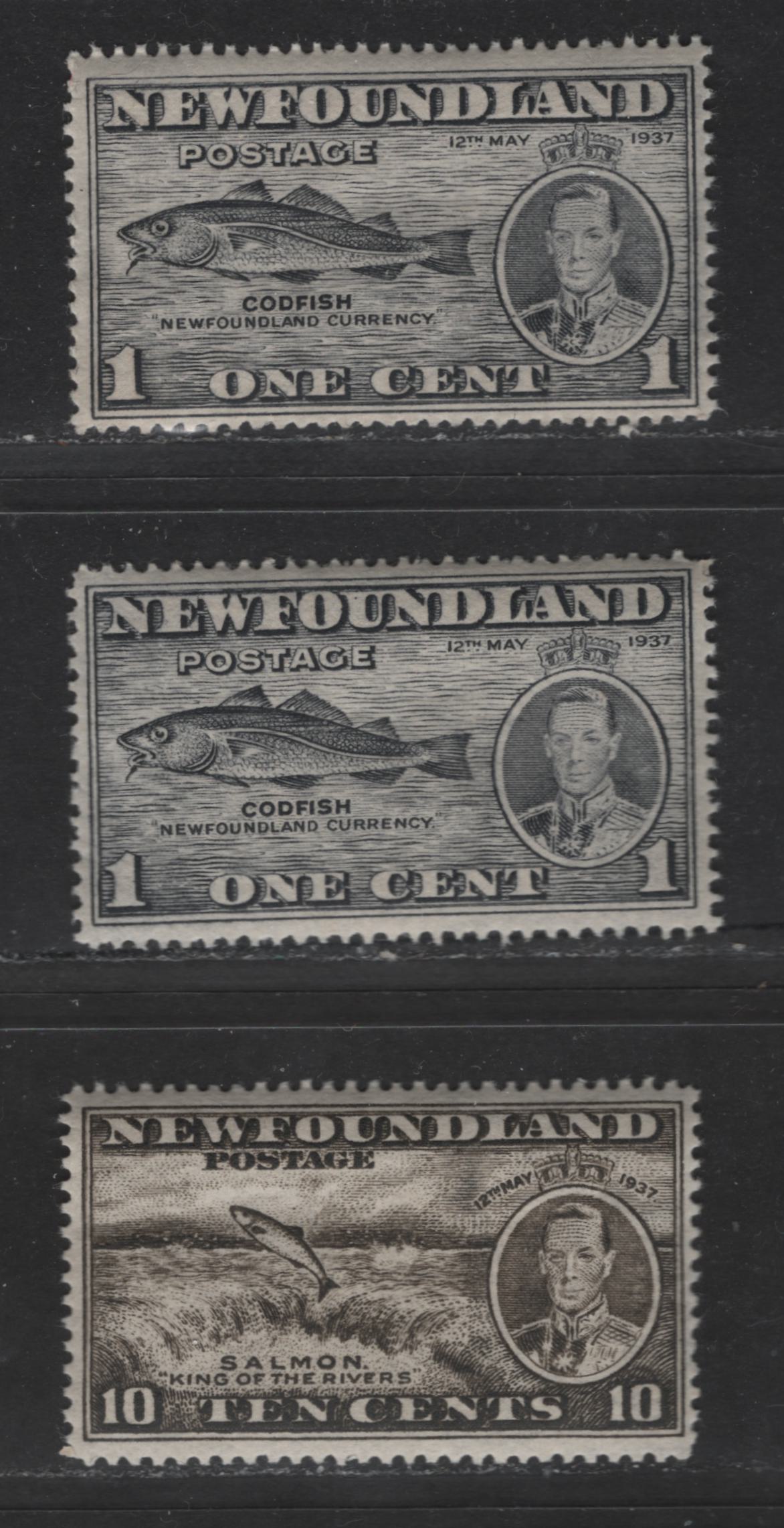 Lot 306 Newfoundland #233, 237 1c, 10c Grey Black & Olive Black Codfish & Salmon Leaping Falls, 1937 Long Coronation issue, 3 Fine NH, OG And VFNH Singles Perf. 14.25 x 14.2, Perf. 13.8, Perf. 13.9